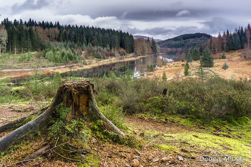 Overlooking Loch Drunkie  - Copyright Dougie Milne Photography 2017
