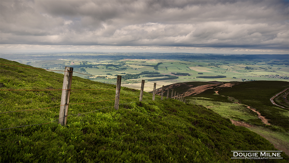 Tinto Hill  - Copyright Dougie Milne Photography 2017