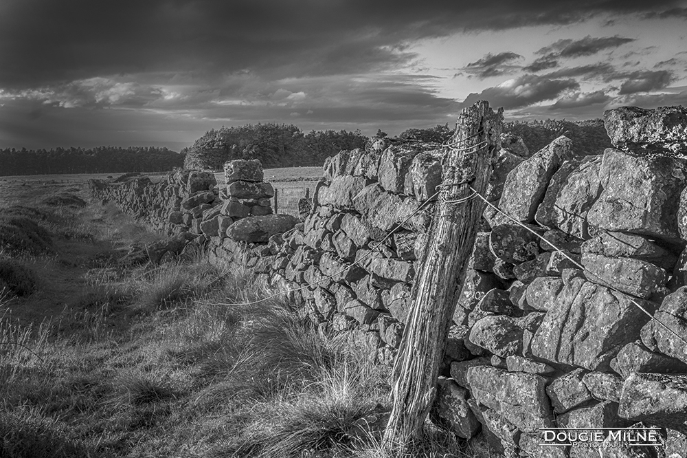 Pentlands Wall  - Copyright Dougie Milne Photography 2017