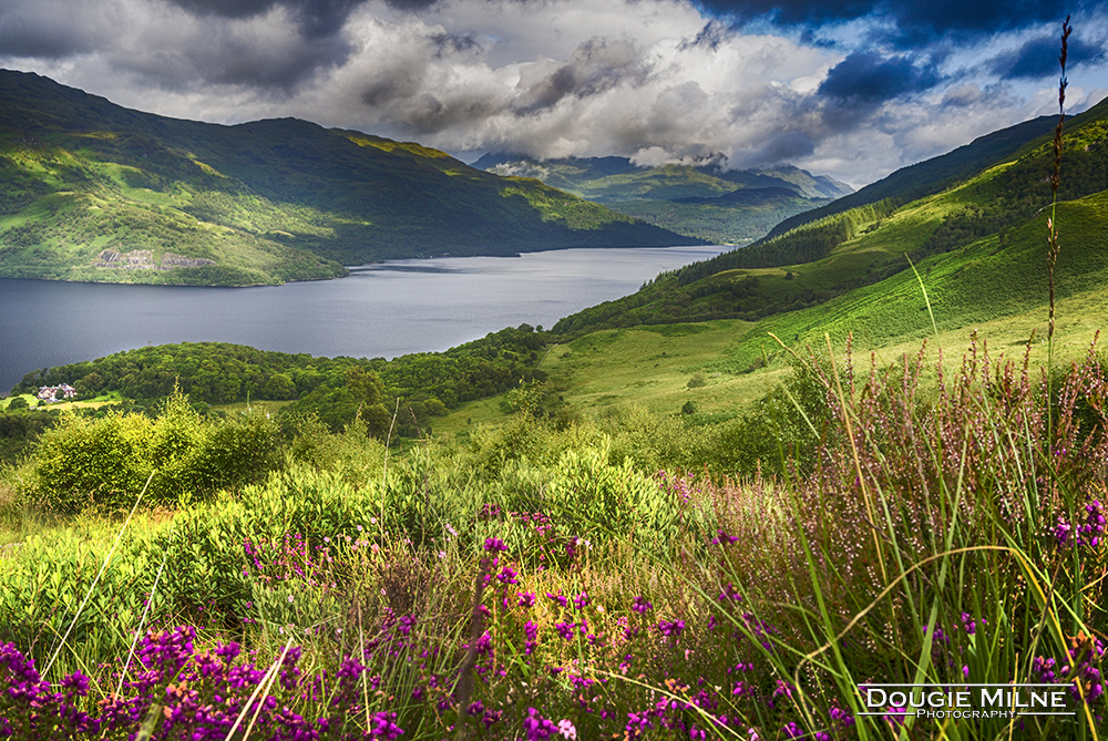 Loch Lomond from the Slopes of Ben Lomond  - Copyright Dougie Milne Photography 2017