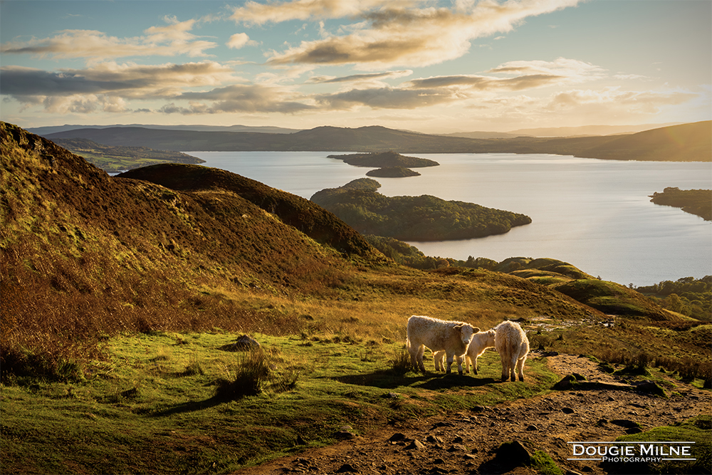 An Autumn Evening on Conic Hill  - Copyright Dougie Milne Photography 2018