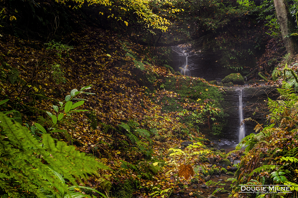 Carriden Falls, Bo'ness  - Copyright Dougie Milne Photography 2018