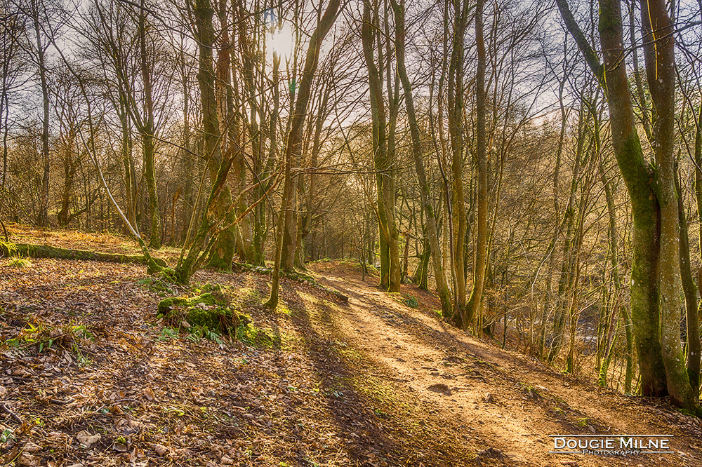 The Darn Road  - Copyright Dougie Milne Photography 2019