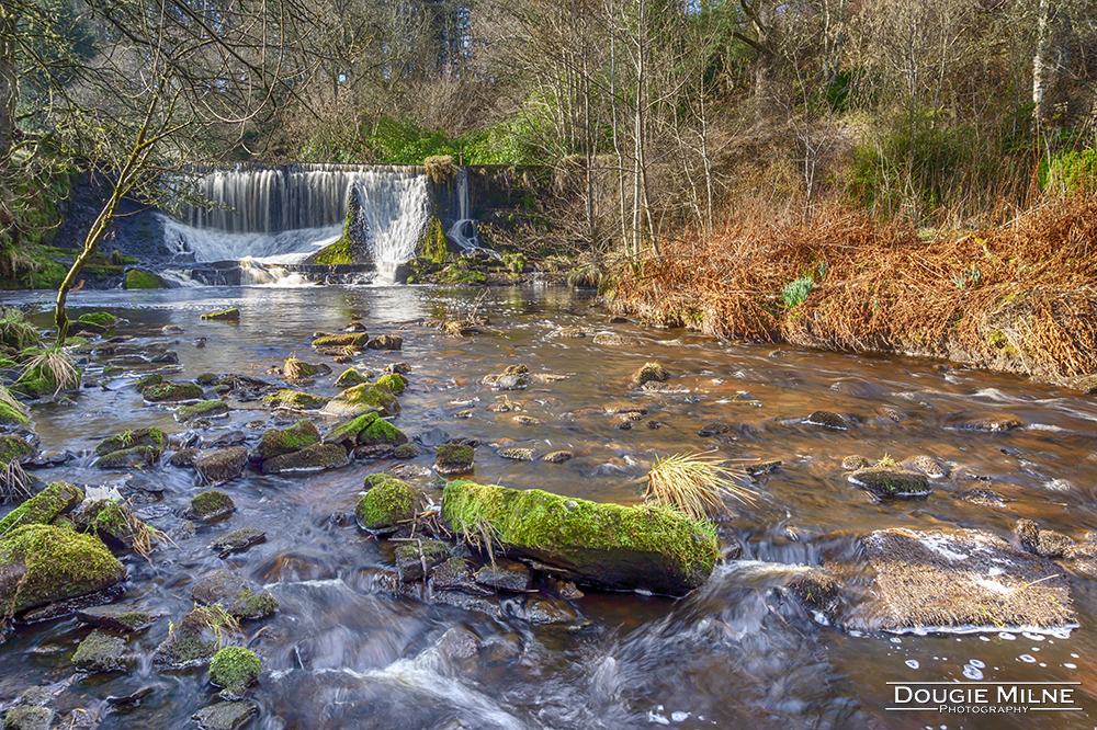 Camilty Weir, Livingston  - Copyright Dougie Milne Photography 2019