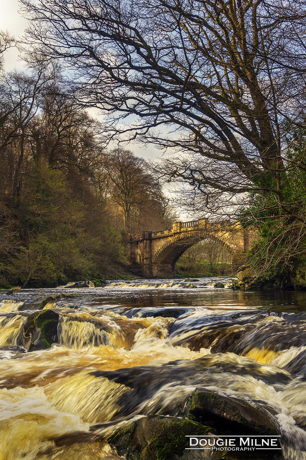 The Nasmyth Bridge and River Almond  - Copyright Dougie Milne Photography 2019