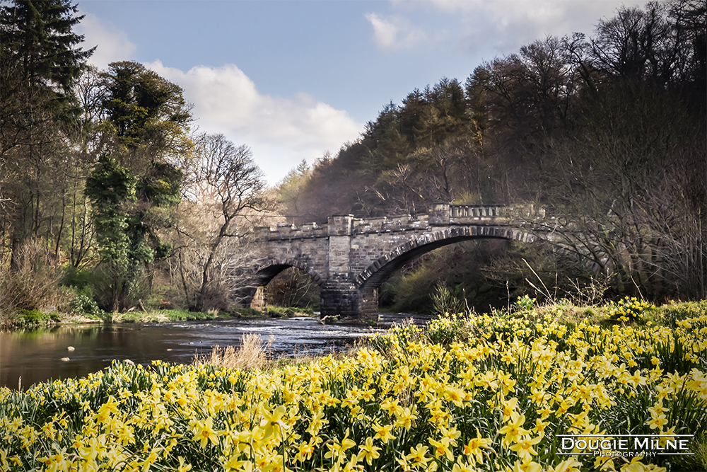 The Nasmyth Bridge, Almondell, West Lothian  - Copyright Dougie Milne Photography 2019
