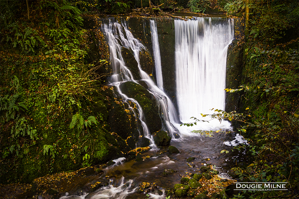 The Bottom Dam, Alva Glen  - Copyright Dougie Milne Photography 2019