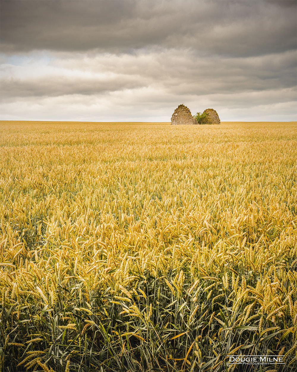 Auldcathie Church, West Lothian  - Copyright Dougie Milne Photography 2020