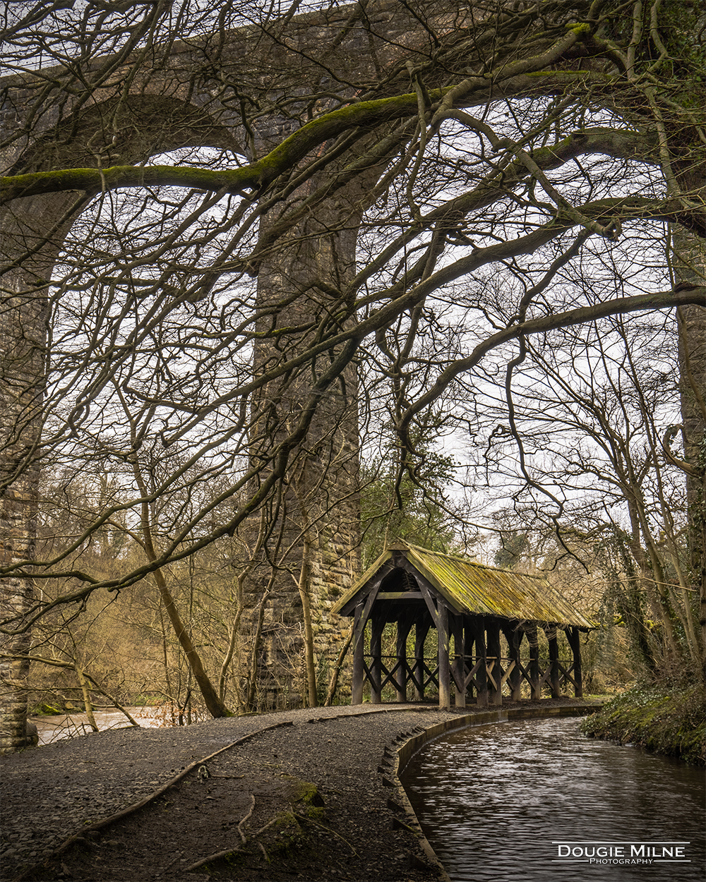 Under the Bridge  - Copyright Dougie Milne Photography 2021
