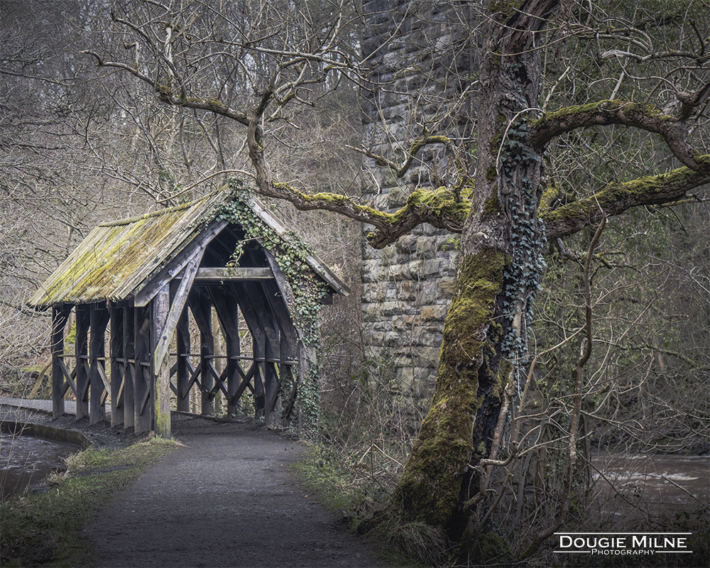 Under the Bridge  - Copyright Dougie Milne Photography 2021