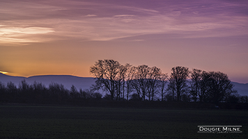 Picture of Sunrise near Dalmeny, Scotland