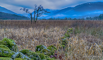 Picture of Balquhidder Glen from Strathyre