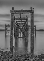 Picture of Hawkcraig Pier, Aberdour