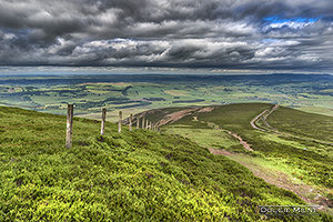 Picture of Tinto Hill