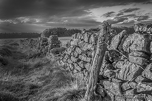 Picture of Pentlands Wall