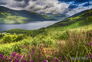 Picture of Loch Lomond from the Slopes of Ben Lomond