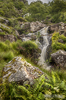 Picture of Beinglas Falls