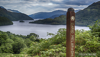 Picture of Loch Lomond from Cnap Mor