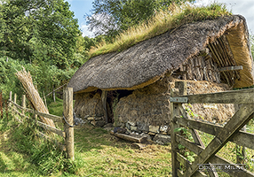 Picture of Highland Hame