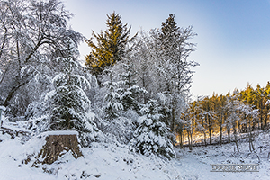 Picture of Beecraigs in the Snow