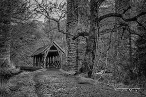 Picture of Almondell Country Park Shelter