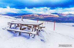 Picture of Bench in the Snow