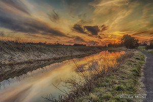 Picture of Sunset at the Union Canal