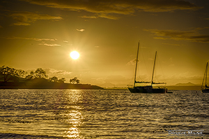 Picture of Blackness Bay