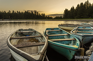 Picture of Boats at Beecraigs
