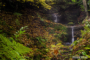 Picture of Carriden Falls, Bo'ness