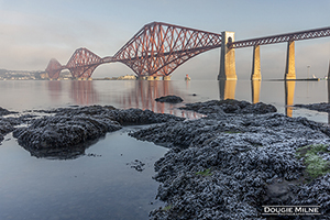 Picture of The Forth Bridge in Winter