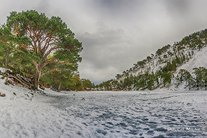 Picture of The Green Lochan in the Snow