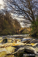 Picture of The Nasmyth Bridge and River Almond