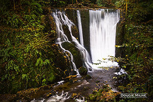 Picture of The Bottom Dam, Alva Glen