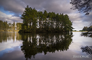 Picture of Beecraigs Loch