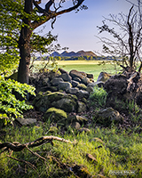 Picture of The Five Sisters, West Lothian