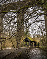 Picture of Under the Bridge