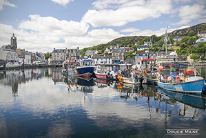 Picture of Loch Tarbert Harbour, Kintyre, Argyll, Scotland 